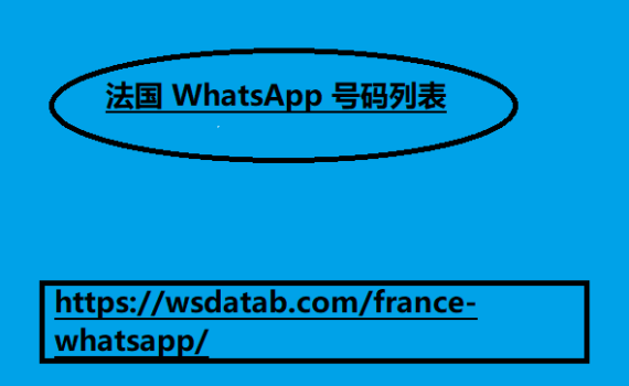 法国 WhatsApp 号码列表