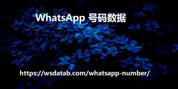 WhatsApp 号码数据