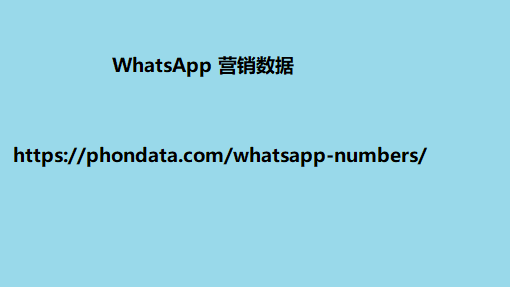 WhatsApp 营销数据